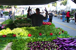 Farmers Market vendor